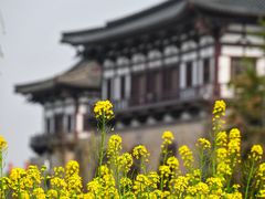 -定鼎门遗址博物馆