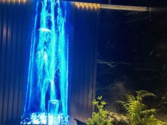 -湯記傳菜