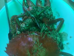 -無招牌海鮮(芽笼店)