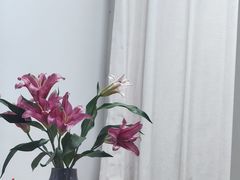 -循礼门鲜花花市(武汉循礼门店)