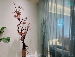 -康颜SPA自然疗愈皮肤管理中心