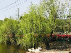 -黄陂区野村谷景区