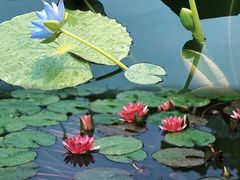 -国家植物园南园