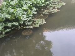 -鼓楼(西湖风景名胜区)