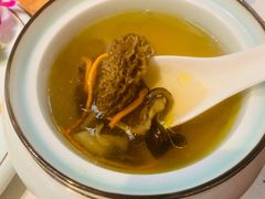 羊肚菌炖裙边-徽珍源(龙茗路店)