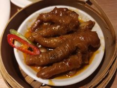 -南枝记