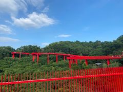 -新湖烧鸡(光明店)