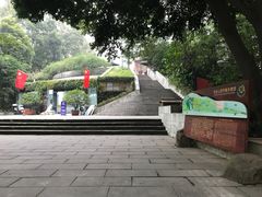 -成都市活水公园