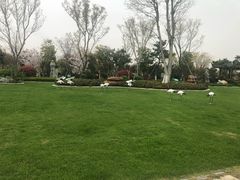 -上海望仙安息园