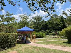 -中国科学院西双版纳热带植物园