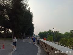 -宝安西湾红树林湿地公园