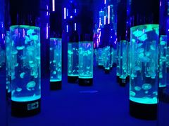 -成都浩海立方海洋公园