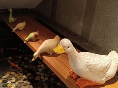 -四季民福烤鸭店(前门大栅栏店)