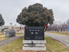 -汉景帝阳陵博物院