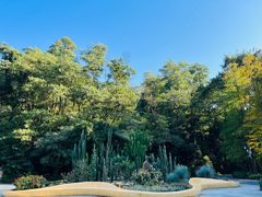 -深圳仙湖植物园