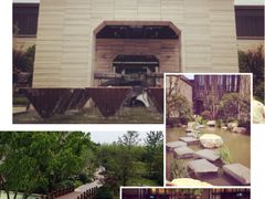 -上海崇明金茂凯悦酒店