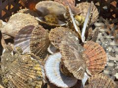 -蚝堡海鲜·威海菜·海肠捞饭·烧烤·亚洲吃蚝公司(幸福门店)