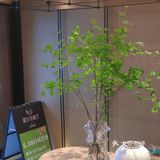 让我越来越喜欢上扬州美食 吃完所有菜品 真想来一句