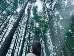 -东湖落雁景区