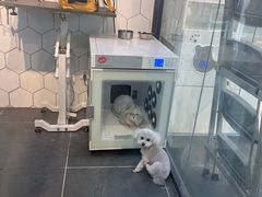 -萌兽医馆·眼科·异宠专科(三里屯店)