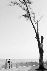 -巴黎婚纱摄影工作室