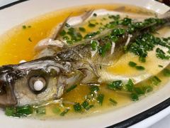 鸡汁太湖白鱼-京城小江南·北京烤鸭·江南土菜·白鱼(中关村店)