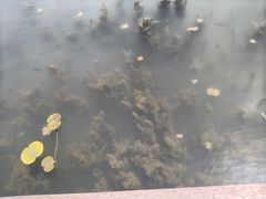 -南北湖风景区