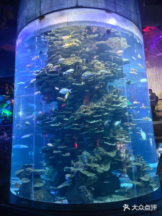 泉城欧乐堡海洋极地世界图片