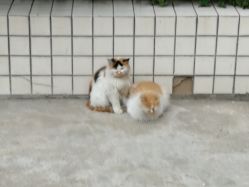 -HG美发设计沙龙