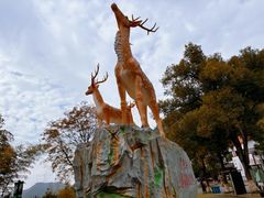 -长沙黑麋峰国家森林公园