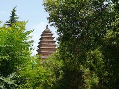 -洛阳白马寺