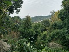 -富乐山