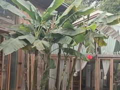 -柠檬花院烤肉·会议团建·聚会·求婚(三圣乡店)