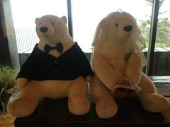 -济州岛泰迪熊博物馆