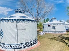 -呼兰河口湿地公园