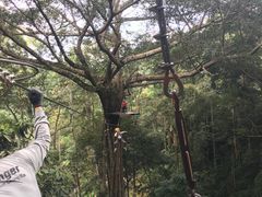 -清迈丛林飞跃 JungleFlight