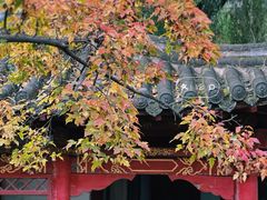 -碑林公园
