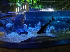 -成都浩海立方海洋公园