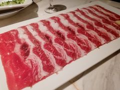 -汤城·料青山