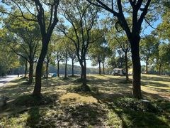 -上海吴淞炮台湾国家湿地公园