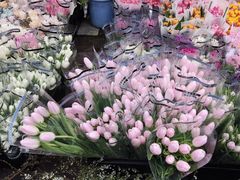 -循礼门鲜花花市(武汉循礼门店)