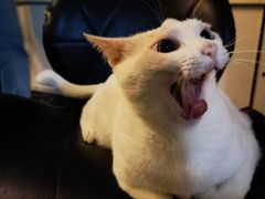 -Doors独立剧情密室(东门分店)