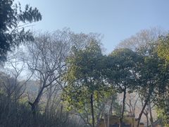 -灵顺寺