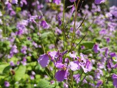 -沪东工人文化宫