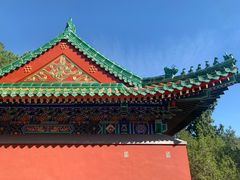 -颐和园