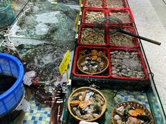 -阿里元老宋海鲜大排档(明发店)