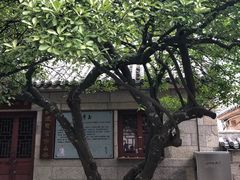 -青岛崂山太清宫