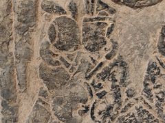 -徐州汉画像石艺术馆