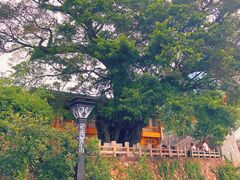 -渔寮风景区