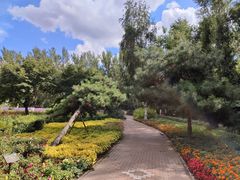 -黑龙江省森林植物园